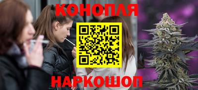 крисы Малоярославец